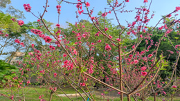 百度副总裁璩静已从公司离职