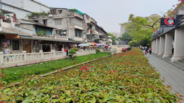 比亚迪6月销售253046辆，新能源累销超460万辆